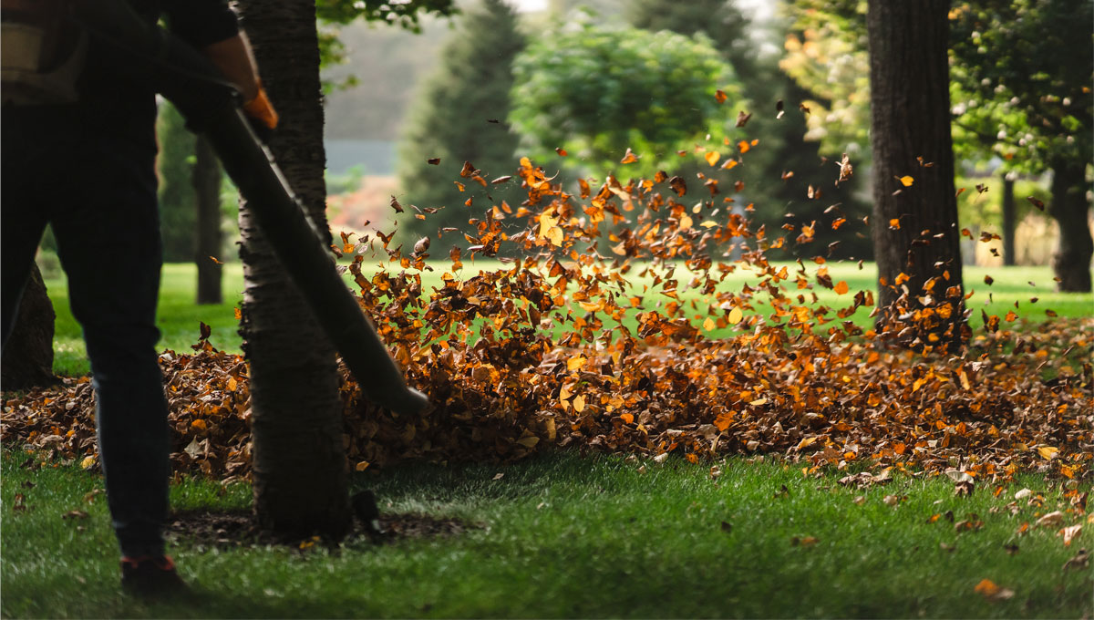 Leaf-Blowing